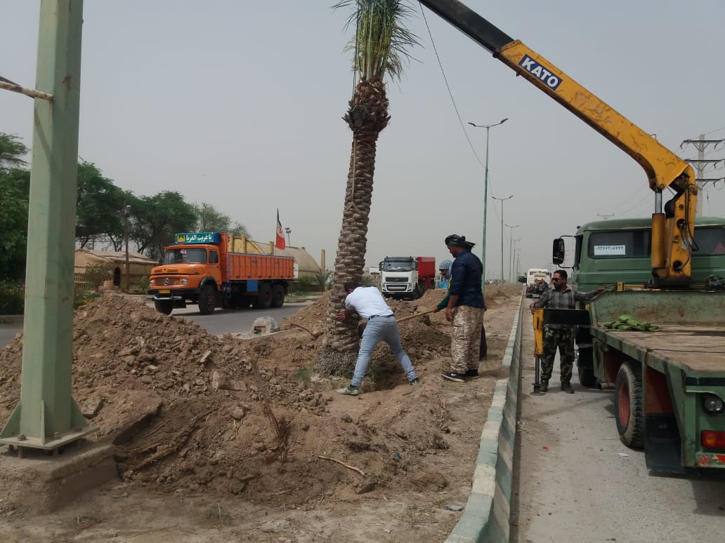 شهردار بستان مهندس طرفی از آغاز پروژه کاشت نخل از گونه استعمران در  شهر بستان خبر داد