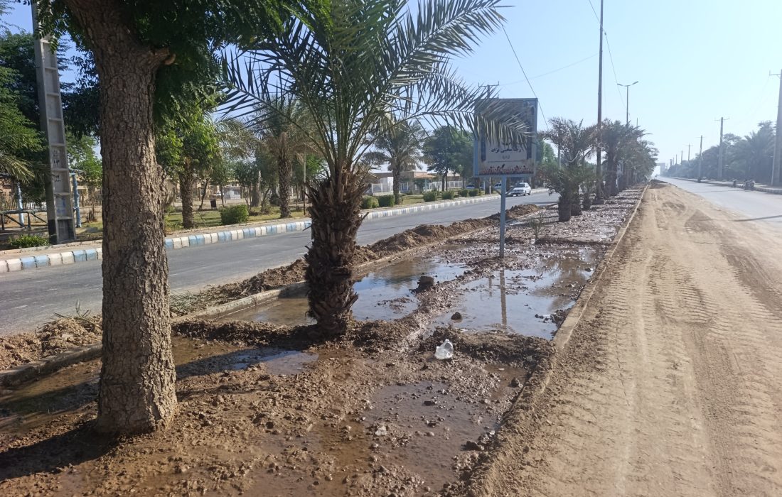 عملیات بذرپاشی گل‌های فصلی در بلوار شهید باکری آغاز شد