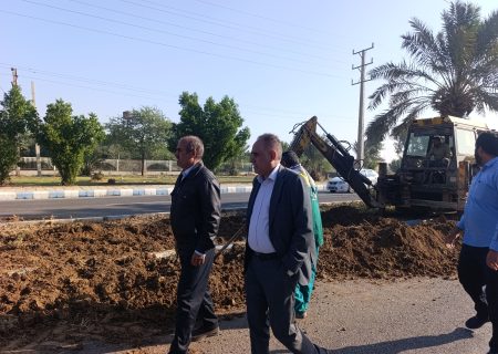 آماده‌سازی بلوار شهید باکری برای کاشت گل‌های فصلی